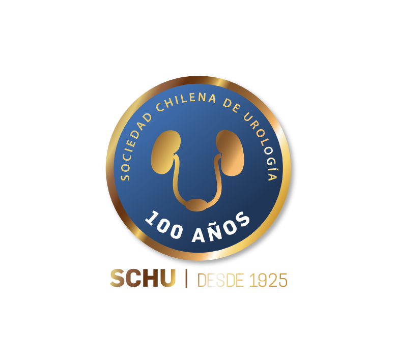 Curso Anual SCHU 2026, Sociedad Chilena de Urología (SCHU)